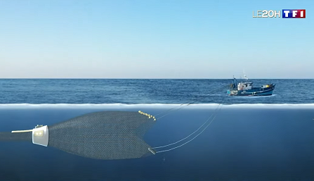 The smart, ocean-friendly fishing net